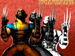 Wolverine Wallpaper